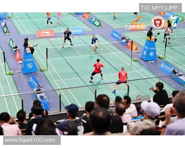 南京羽毛球队转型之路的挑战与机遇全景报道